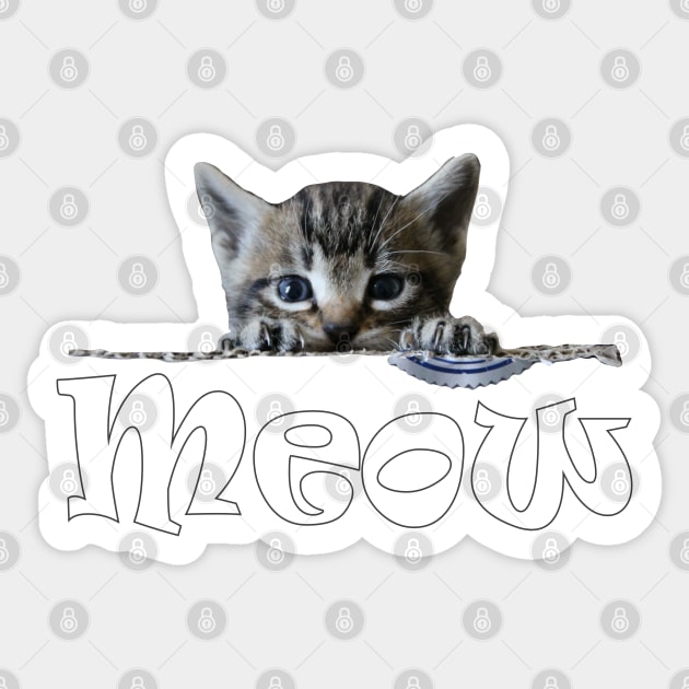 Cute Kittens Cats Meow Sticker by PlanetMonkey